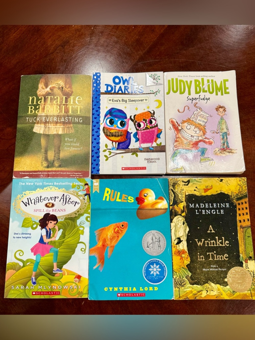 Scholastic Kids Book Bundle – Blue, Pink, Yellow, Green Covers